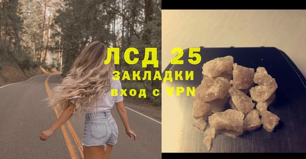 ПСИЛОЦИБИНОВЫЕ ГРИБЫ Богородицк