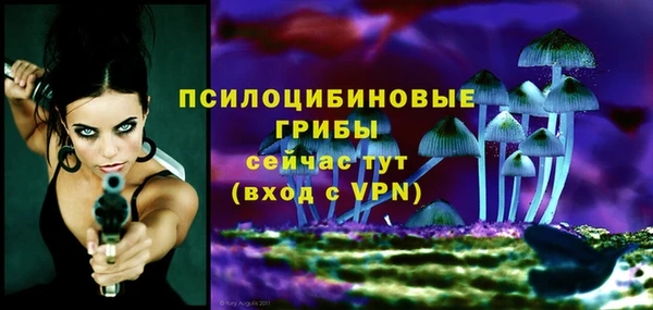 ПСИЛОЦИБИНОВЫЕ ГРИБЫ Богородицк