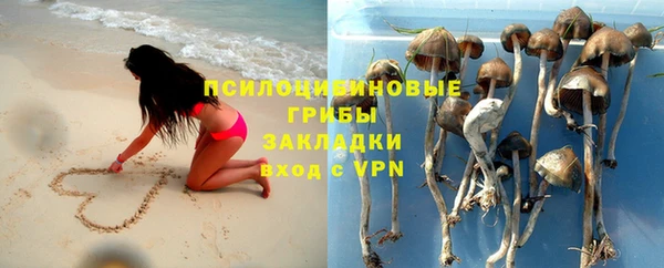 ПСИЛОЦИБИНОВЫЕ ГРИБЫ Богородицк