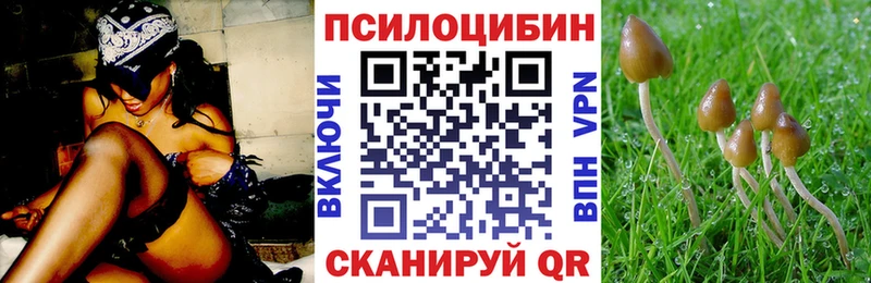 купить   Великий Новгород  OMG сайт  Галлюциногенные грибы Psilocybe 